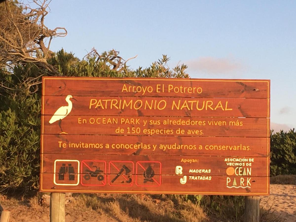 Los Quetzales Maldonado Luaran gambar